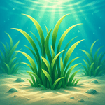 Seagrass